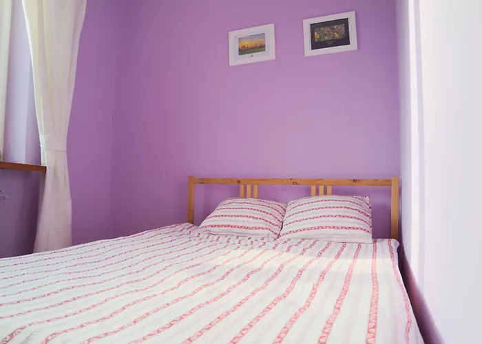 Lawenda Albergue Łódź